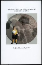 Handbook of Children's Concussions