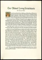 Our Oldest Living Inhabitants by Fremont Older, early 20th century