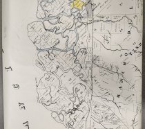 2022.048.002 - detail