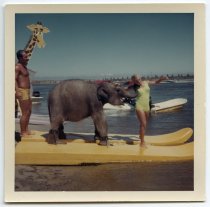 Untitled {Brad Baruh, Judy Baruh, and Judy the Elephant]
