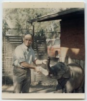 Untitled [Brad Baruh Bottle Feeding Judy the Elephant], 1967