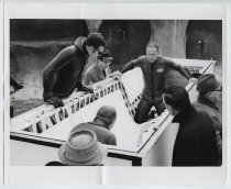 Untitled [Brad Baruh in a Sling Used for Sea Animal Transport]