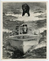 Untitled [Judy the Elephant Water Skiing]