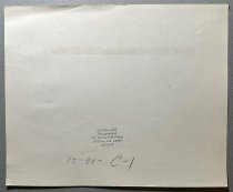 Untitled [Winner with Horse at Stall Decorated with Multiple Awards], 1974