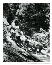 1964.071A.006A - Driver Charles Wyman Logging for Bert Weeks' Mill on La Ho