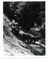 1964.071A.006B - Driver Charles Wyman Logging for Bert Weeks' Mill on La Ho