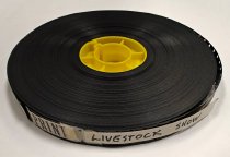 Livestock Show, October 30, 1973