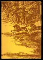 Express and Stagecoach Days in California by Oscar O. Winter, 1936