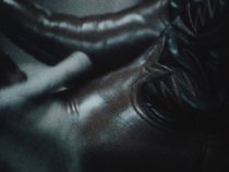 Grand National Rodeo Atmosphere, c. 1970s