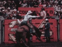 Grand National Rodeo Bull Riding, c. 1970s
