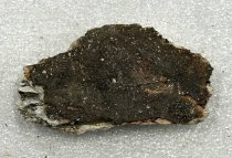 Fossil Fragment, 2.5 ma to 11.7 ta