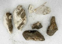Fossil Fragments, 2.5 ma to 11.7 ta