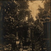 Rauch's Ice Cream Park