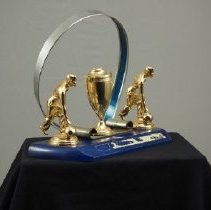 Trophy, Bowling
