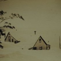 U.S. Forest Service 1923