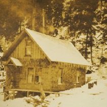 U.S. Forest Service 1919