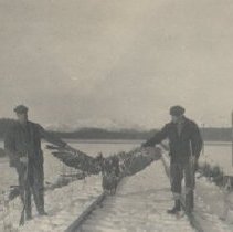 hunting eagles along the railroad tracks