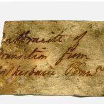 Historic specimen label for Coal, Anthracite, 5217.