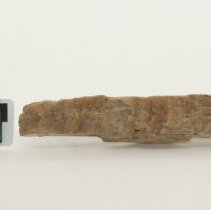 Gypsum, 5673. Front view with scale bar.