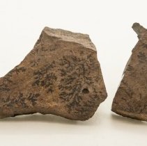 Manganese Dendrites, 7885 with scale bar.