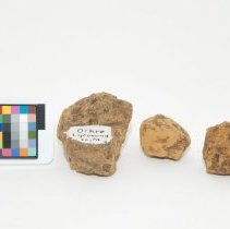 Limonite, 8076 with scale bar.