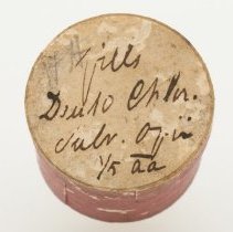 Olivella mutica, 21-070.