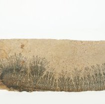 Manganese Dendrites, 3206.