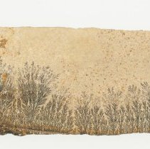 Manganese Dendrites, 3206.