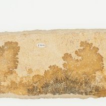 Manganese Dendrites, 3206.