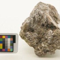 Brucite, 8164 with scale bar.