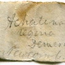 Historic label for Corona regina, 21-005.