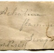 Historic label for Limicolaria flammea, 21-007.