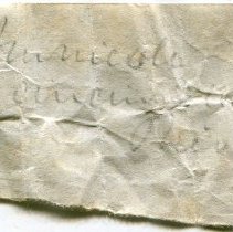 Historic label for Cincinnatia integra, 21-021.