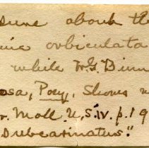 Historic Mazyck label for Helicina orbiculata, 21-027.