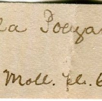 Historic Mazyck label for Cochlodinella poeyana, 21-028.