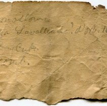 Historic label for Cochlodinella poeyana, 21-028.