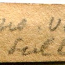 Historic label for Epitonium angulatum, 21-045.