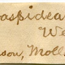 Historic Mazyck label for Jaspidella jaspidea, 21-053.