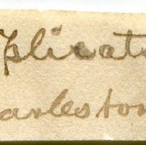 Historic Mazyck label for Pyrgocythara plicosa, 21-054.