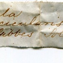 Historic label for Cymbovula acicularis, 21-062.