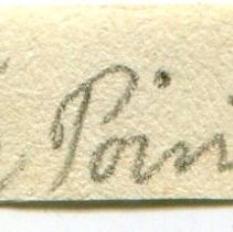 Historic label for Cymbovula acicularis, 21-062.