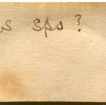 Historic Mazyck label for Sinum maculatum, 21-069.