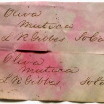 21-070 Olivella mutica. Historic label.