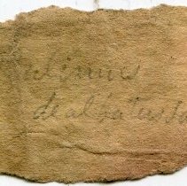 Historic label for Bulimulus dealbatus, 21-078.