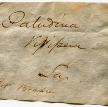 Historic label for Viviparus subpurpureus, 21-082.