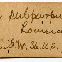 Historic Mazyck label for Viviparus subpurpureus, 21-082.