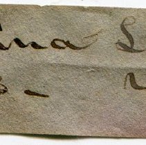 Historic label for Viviparus contectus, 21-087.