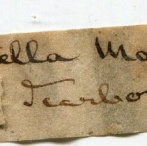 Historic label for Truncatella subcylindrica, 21-107.