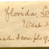 Historic Mazyck label for Chama florida, 21-109.