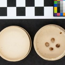 Echinolittorina mespillum, 21-115. In pill box container w/scale bar.